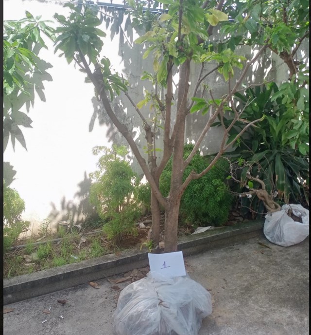 tin tuc phap luat ngay 12 9 2022 tam giu doi tuong o hai phong len mang du do nhieu nu sinh3