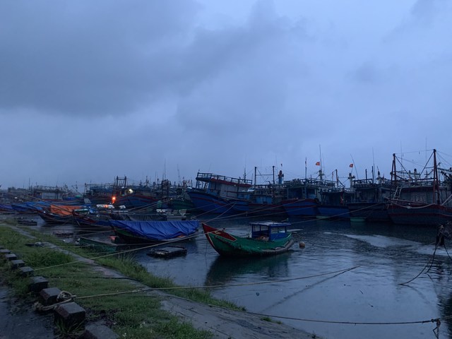 pho thu tuong le van thanh kiem tra cong tac ung pho bao tai quang tri5 pho thu tuong le van thanh kiem tra cong tac ung pho bao tai quang tri5