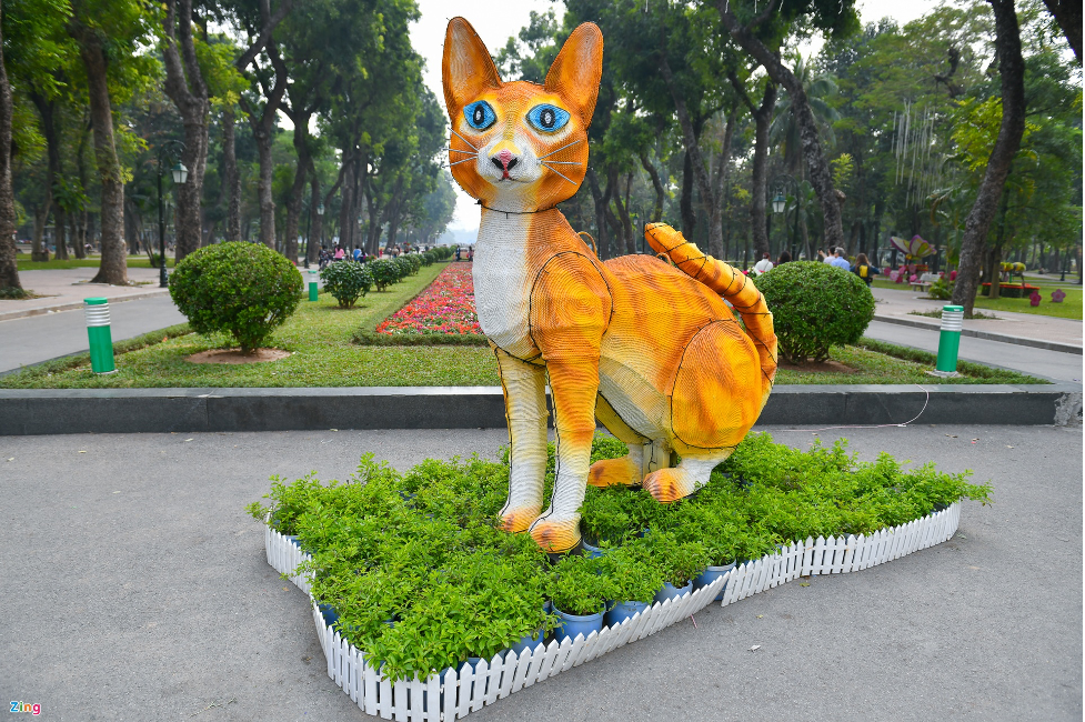 mo hinh meo giong chuot don tet o ha noi gay 22xon xao22 du luan4 mo hinh meo giong chuot don tet o ha noi gay 22xon xao22 du luan4