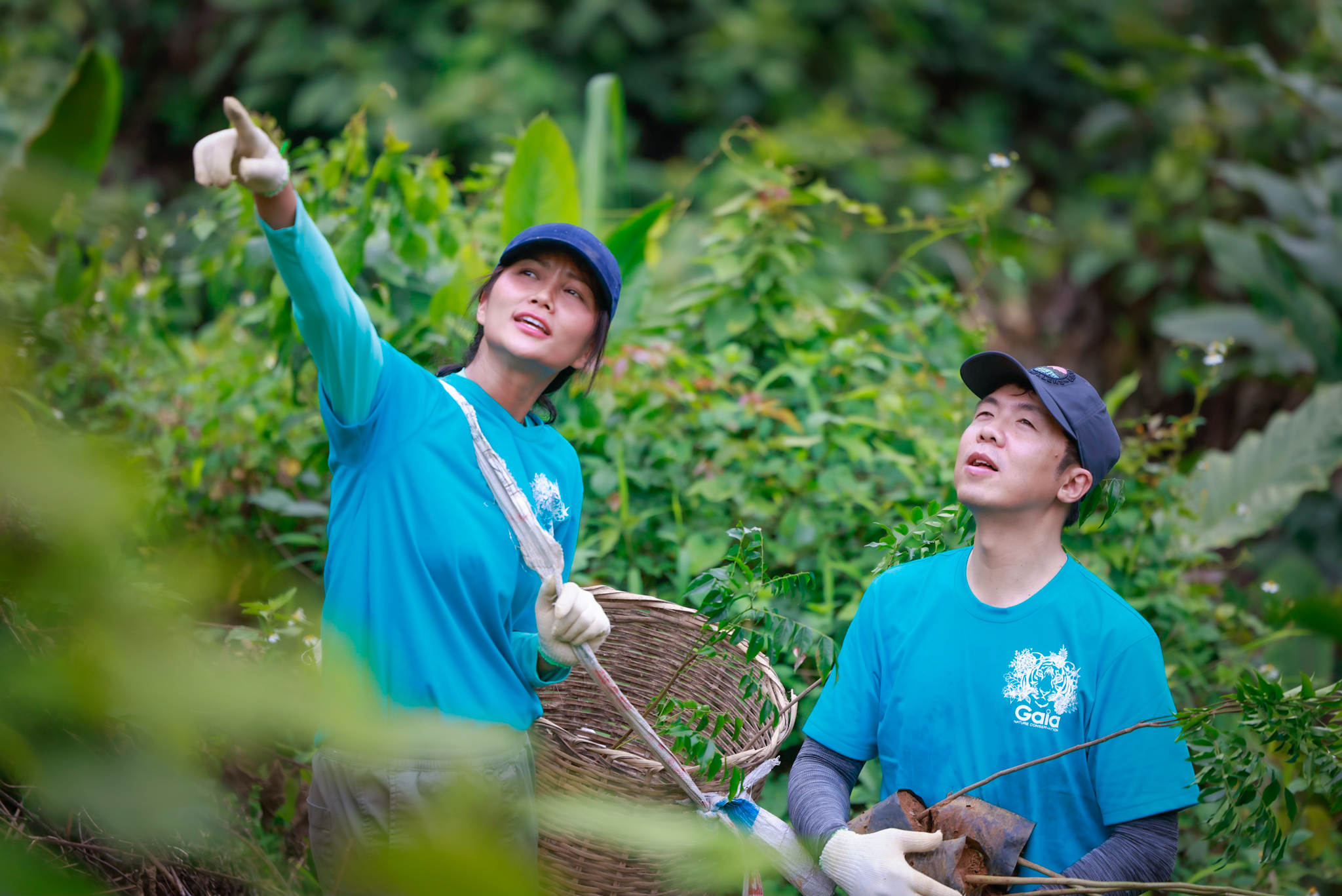 thuc hien loi hua ky niem 5 nam dang quang hoa hau hhen nie trong 1ha rung dau tien1 thuc hien loi hua ky niem 5 nam dang quang hoa hau hhen nie trong 1ha rung dau tien1