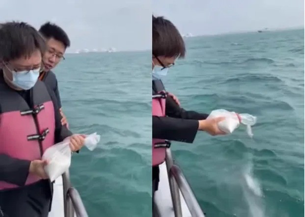 khong tham du dam tang cua ly khon thanh ly do cua vo tre kem 40 tuoi gay soc 2