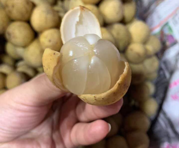 an bon bon dung cach de bao ve suc khoe moi ngay 1 an bon bon dung cach de bao ve suc khoe moi ngay 1