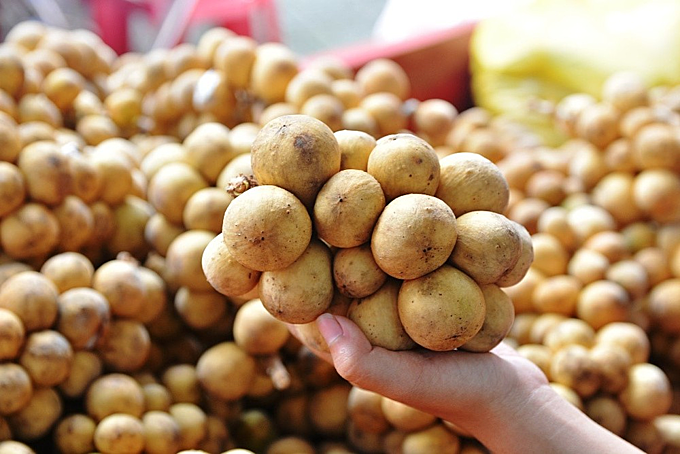 an bon bon dung cach de bao ve suc khoe moi ngay 4 an bon bon dung cach de bao ve suc khoe moi ngay 4