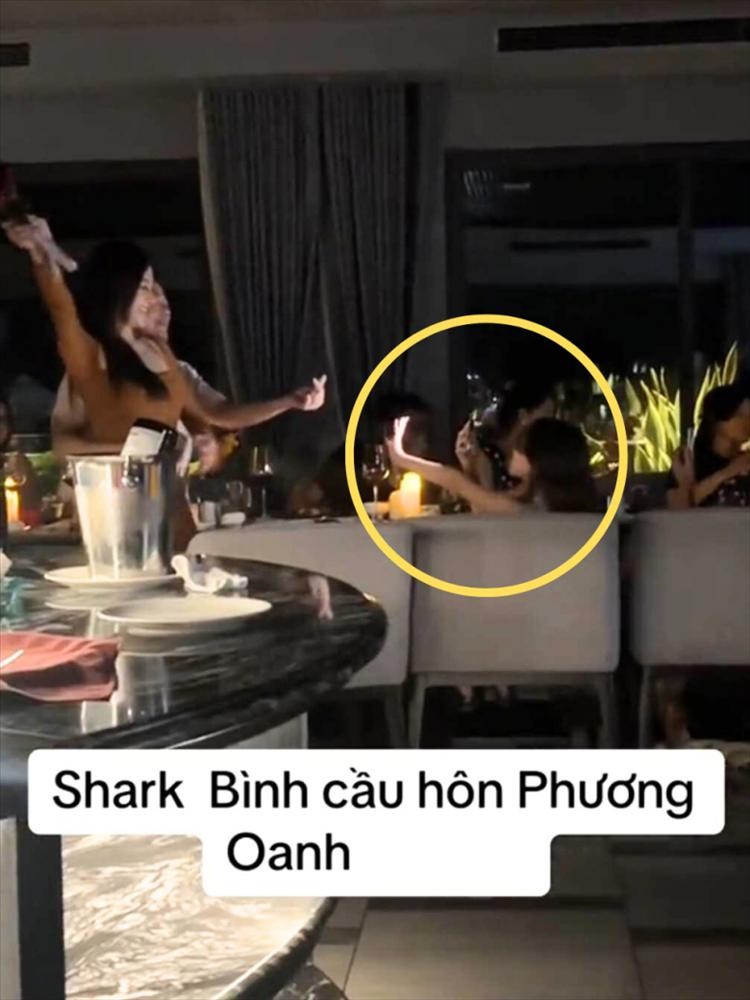 shark binh cau hon phuong oanh con gai nam doanh nhan co hanh dong la shark binh cau hon phuong oanh con gai nam doanh nhan co hanh dong la
