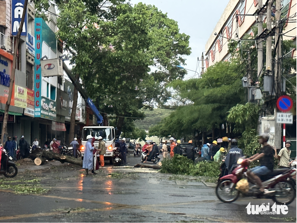 tp hcm tru mua nguoi dan ong bi cay de tu vong tp hcm tru mua nguoi dan ong bi cay de tu vong
