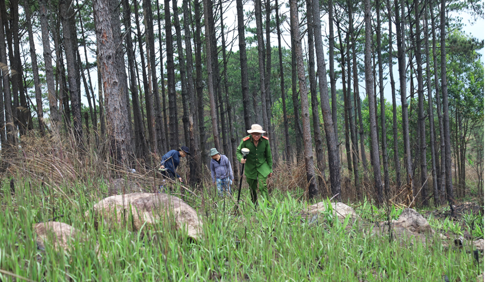 lam dong khoi to them 2 bi can lien quan den cac sai pham giao khoan rung dat lam nghiep tai bao lam lam dong khoi to them 2 bi can lien quan den cac sai pham giao khoan rung dat lam nghiep tai bao lam