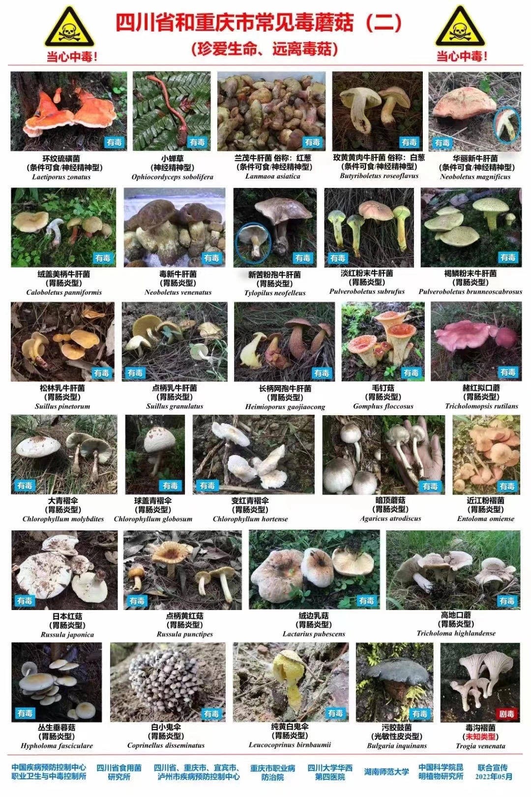 5 nguoi trong cung mot gia dinh nhap vien nguyen nhan khien ai nay rung minh2