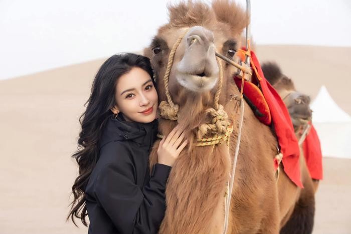 tin tuc sao hoa ngu moi nhat ngay 3 11 tai khoan ca nhan cua angelababy bi han che sau scandal2 tin tuc sao hoa ngu moi nhat ngay 3 11 tai khoan ca nhan cua angelababy bi han che sau scandal2