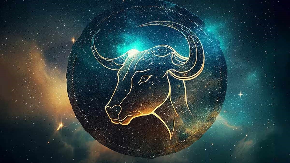 tu vi vui 12 cung hoang dao ngay 1211 kim nguu nen tim hieu nhung dieu moi me trong cuoc song tu vi vui 12 cung hoang dao ngay 1211 kim nguu nen tim hieu nhung dieu moi me trong cuoc song