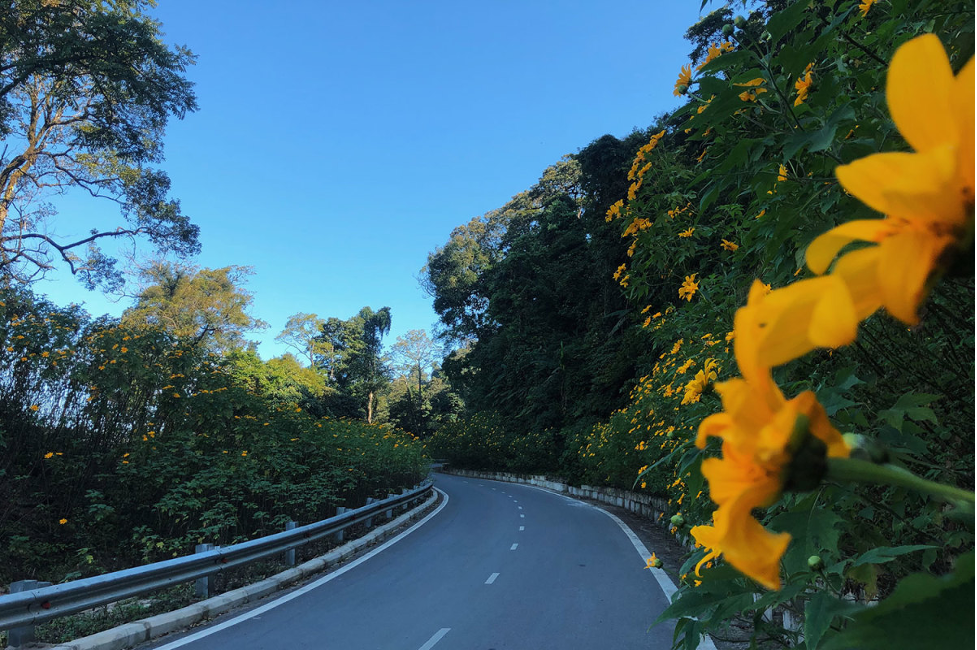 cam nang di ngam hoa da quy tu tin cam 200 nghin di oanh tac5 cam nang di ngam hoa da quy tu tin cam 200 nghin di oanh tac5