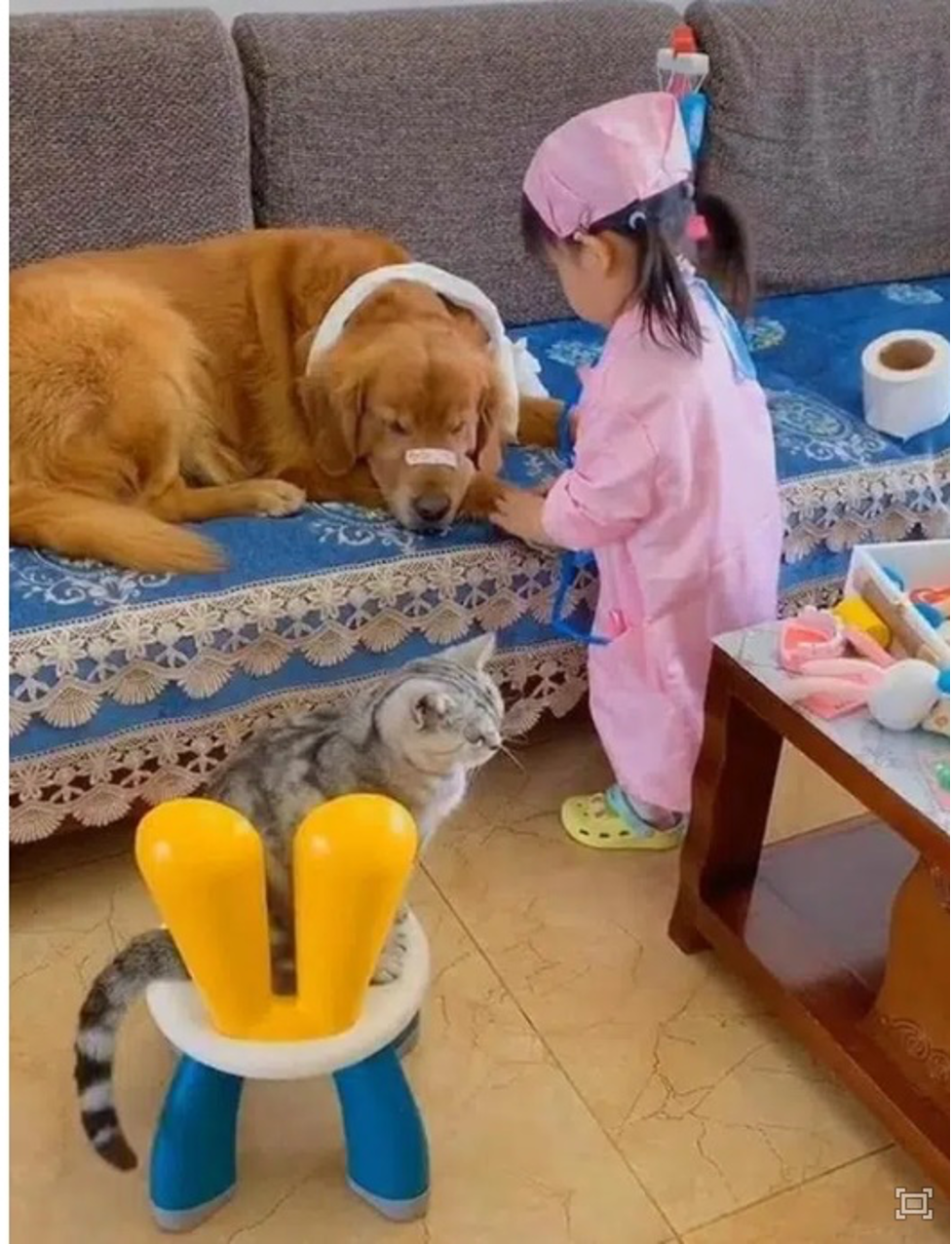 dong gia lam co giao mam non be gai 5 tuoi nhan ve con mua loi khen dong gia lam co giao mam non be gai 5 tuoi nhan ve con mua loi khen