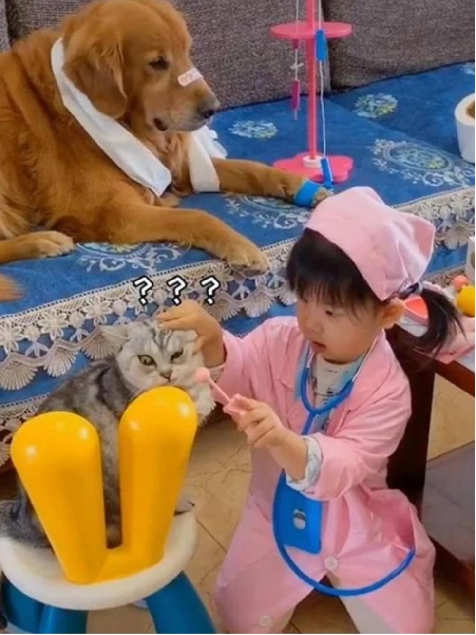 dong gia lam co giao mam non be gai 5 tuoi nhan ve con mua loi khen2 dong gia lam co giao mam non be gai 5 tuoi nhan ve con mua loi khen2