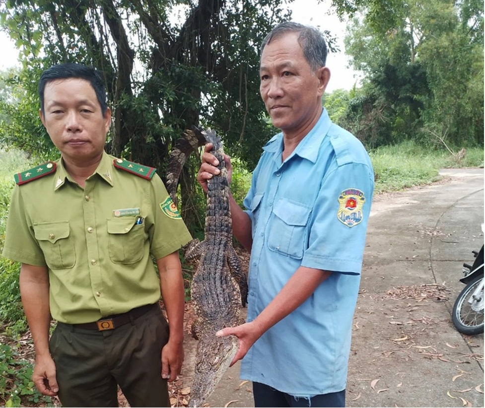 toan bo ca sau song chuong ra ho nuoc cong vien kien giang da bi bat sau hon 1 thang tim kiem2 toan bo ca sau song chuong ra ho nuoc cong vien kien giang da bi bat sau hon 1 thang tim kiem2