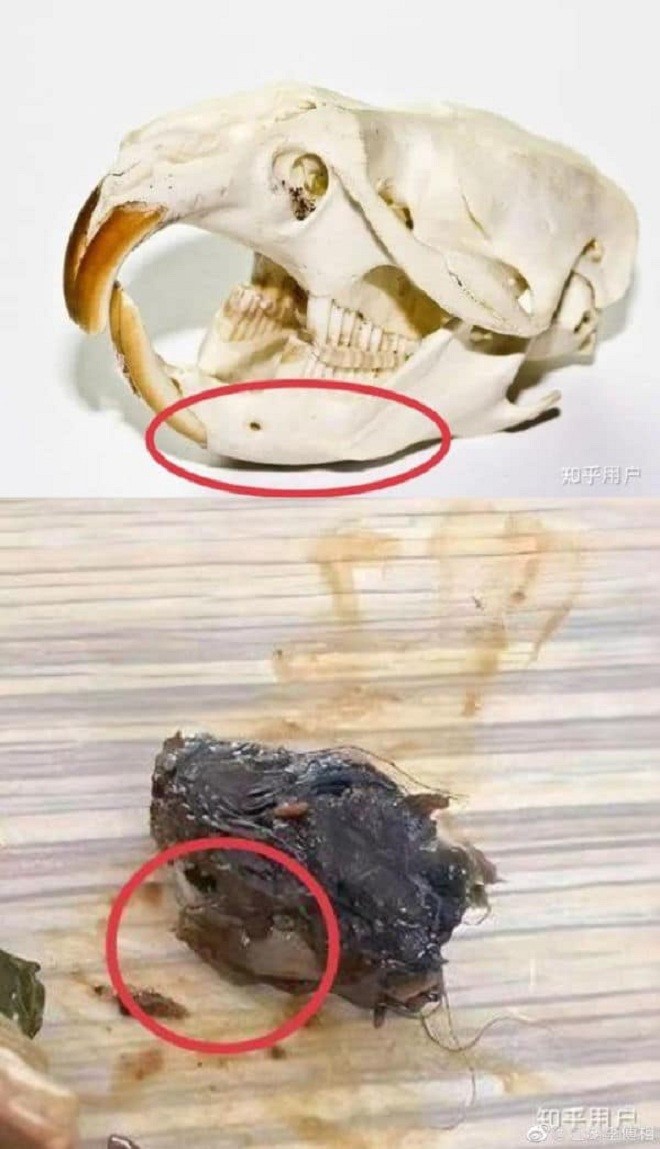 tranh cai viec xuat hien dau kim tiem trong bua trua o cang tin truong hoc tai trung quoc tranh cai viec xuat hien dau kim tiem trong bua trua o cang tin truong hoc tai trung quoc