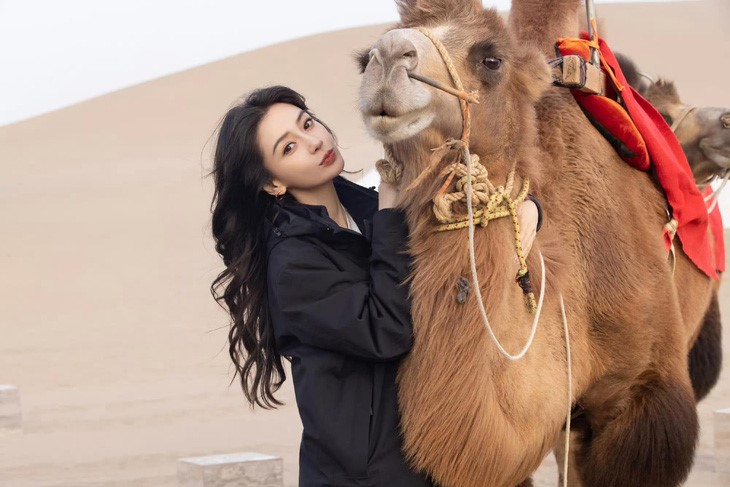 xon xao thong tin angelababy sap quay tro lai hoat dong nghe thuat sau 3 thang phong sat xon xao thong tin angelababy sap quay tro lai hoat dong nghe thuat sau 3 thang phong sat