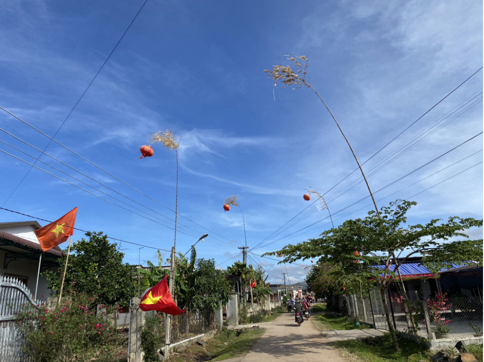nguoi dan ong bi giat tu vong khi dang dung cay neu ngay tet2