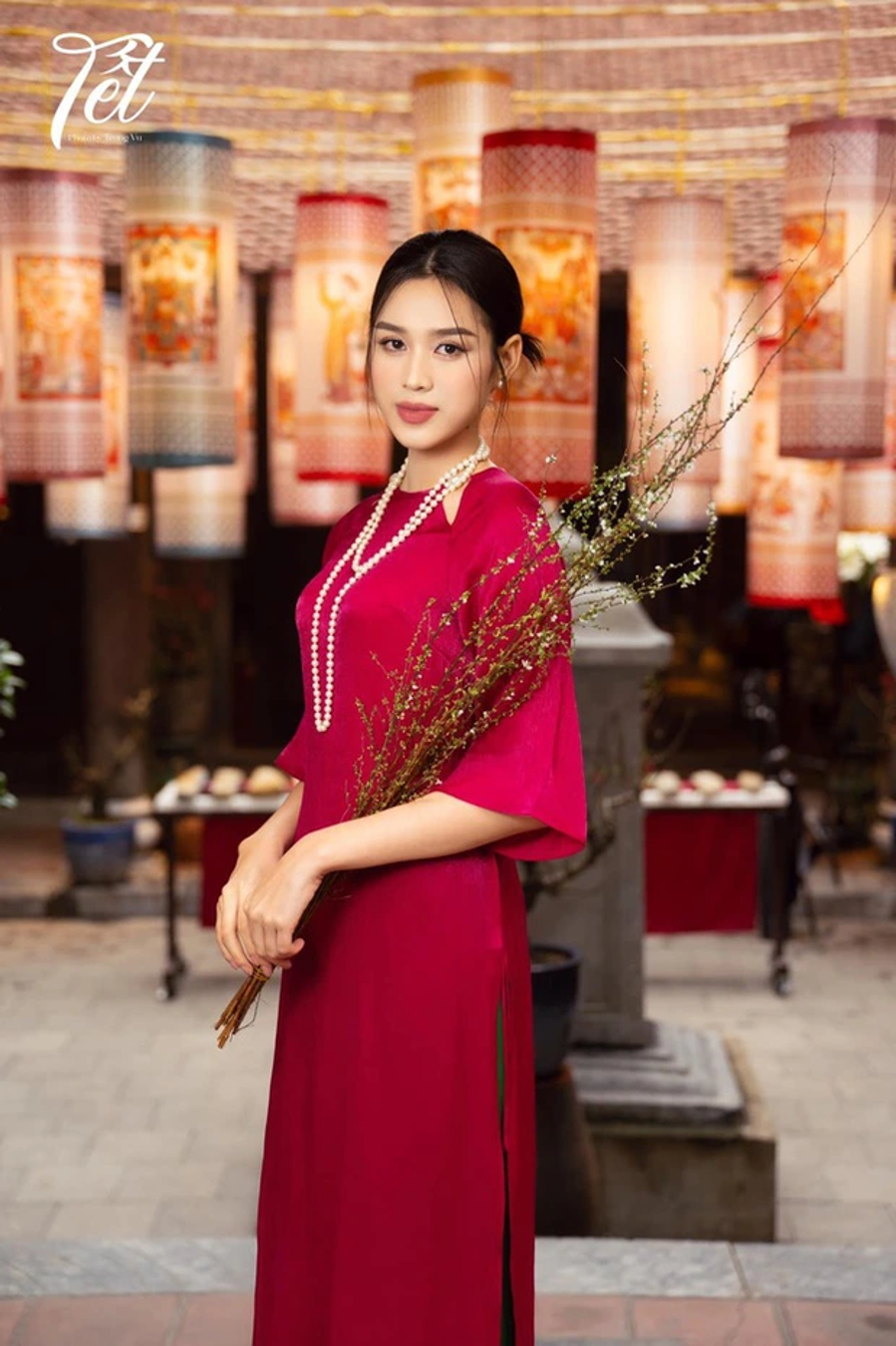 hoa hau do thi ha dinh nghi van hen ho thieu gia dinh dam hoa hau do thi ha dinh nghi van hen ho thieu gia dinh dam