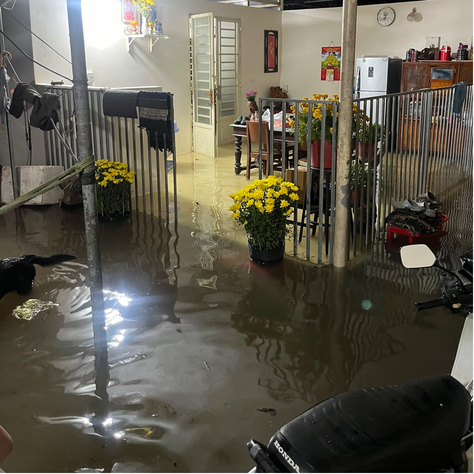 trieu cuong bat ngo dang cao nguoi dan vua don tet vua chay ngap2