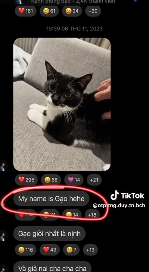 them loat bang chung hen ho giua bich phuong va tang duy tan he lo dong trang thai dang ngo2