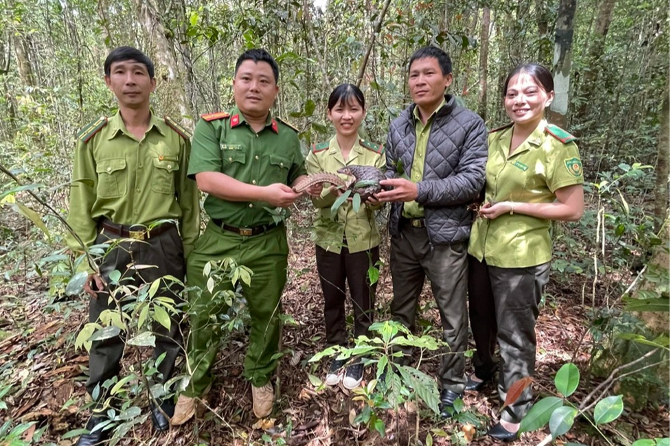 2 nguoi dan ong tu nguyen giao nop te te vang quy hiem sau khi bat duoc cho cong an