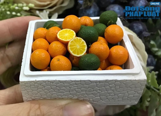 ho bien dat set thanh do an mini giong nhu that nu 8x duoc dan mang het loi khen ngoi dspl 10 ho bien dat set thanh do an mini giong nhu that nu 8x duoc dan mang het loi khen ngoi dspl 10