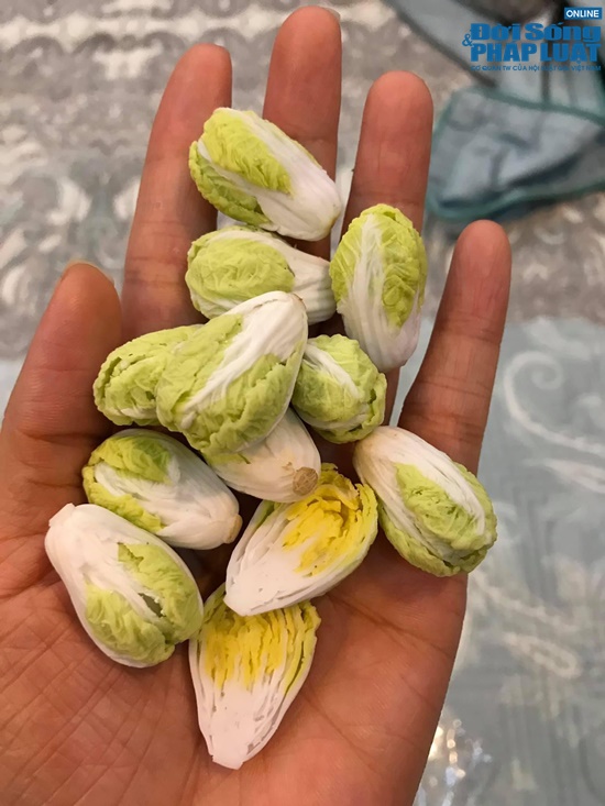 ho bien dat set thanh do an mini giong nhu that nu 8x duoc dan mang het loi khen ngoi dspl 7 ho bien dat set thanh do an mini giong nhu that nu 8x duoc dan mang het loi khen ngoi dspl 7
