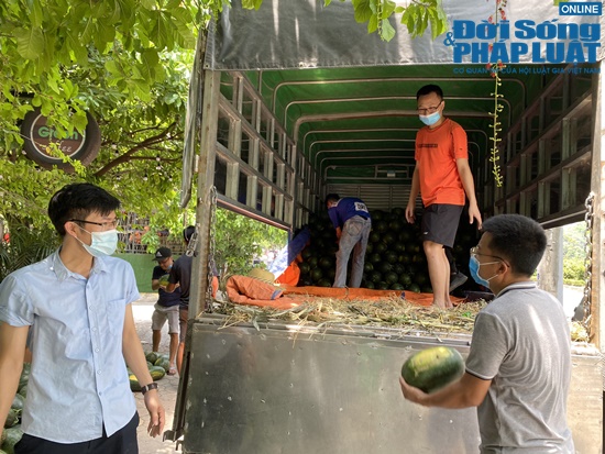 doi boc vac 0 dong miet mai giua trua he tiep suc cho tam dich bac giang dspl 5 doi boc vac 0 dong miet mai giua trua he tiep suc cho tam dich bac giang dspl 5