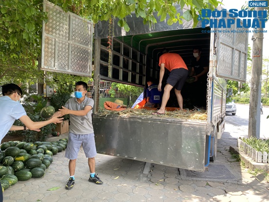 doi boc vac 0 dong miet mai giua trua he tiep suc cho tam dich bac giang dspl 8 doi boc vac 0 dong miet mai giua trua he tiep suc cho tam dich bac giang dspl 8
