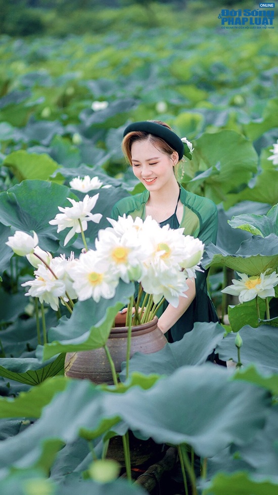 nang mc dh quoc gia ha noi so huu khuon mat tua bup be coi deadline la nguoi ban dspl 10 nang mc dh quoc gia ha noi so huu khuon mat tua bup be coi deadline la nguoi ban dspl 10