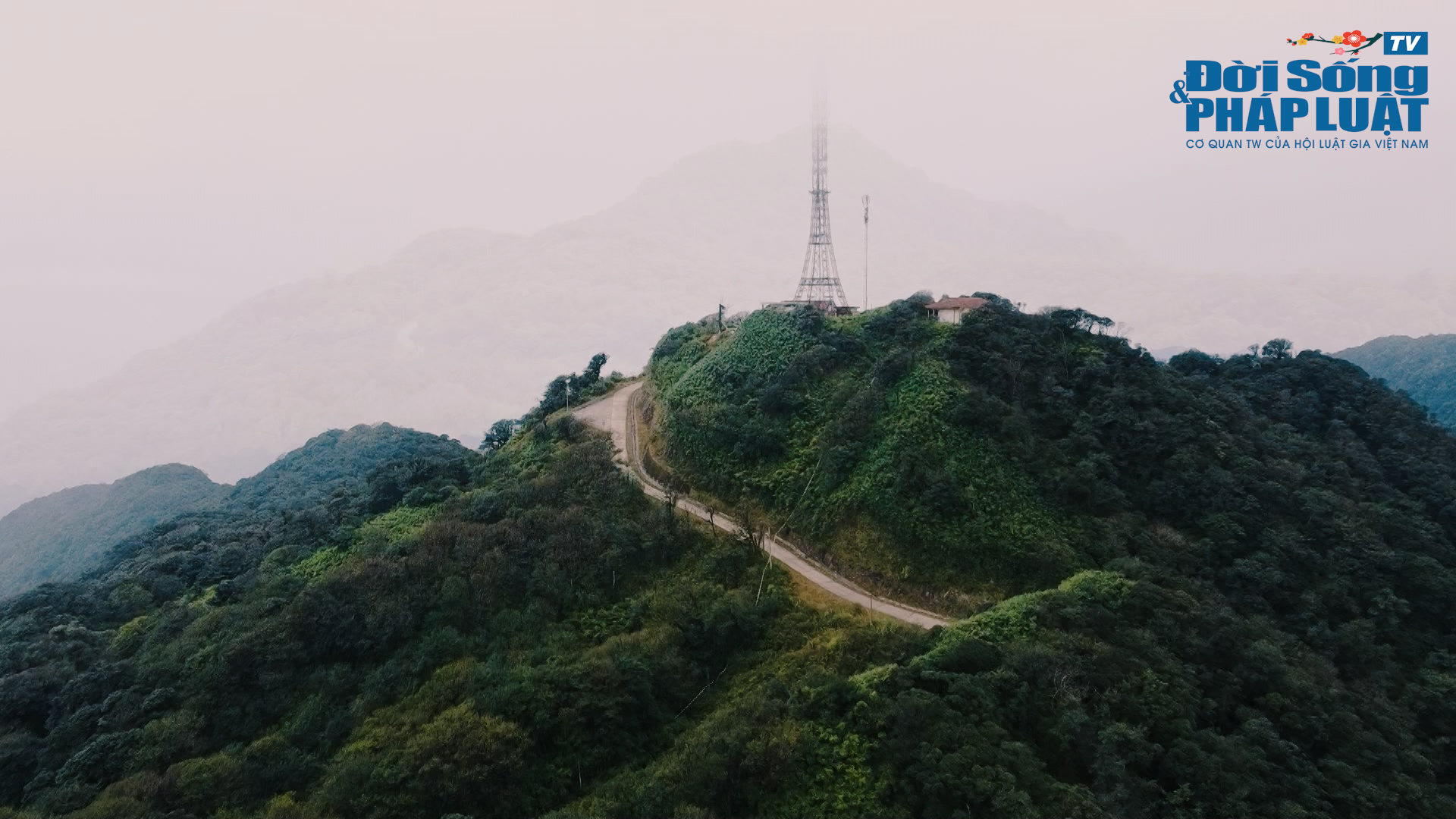 mong cai00091333still002