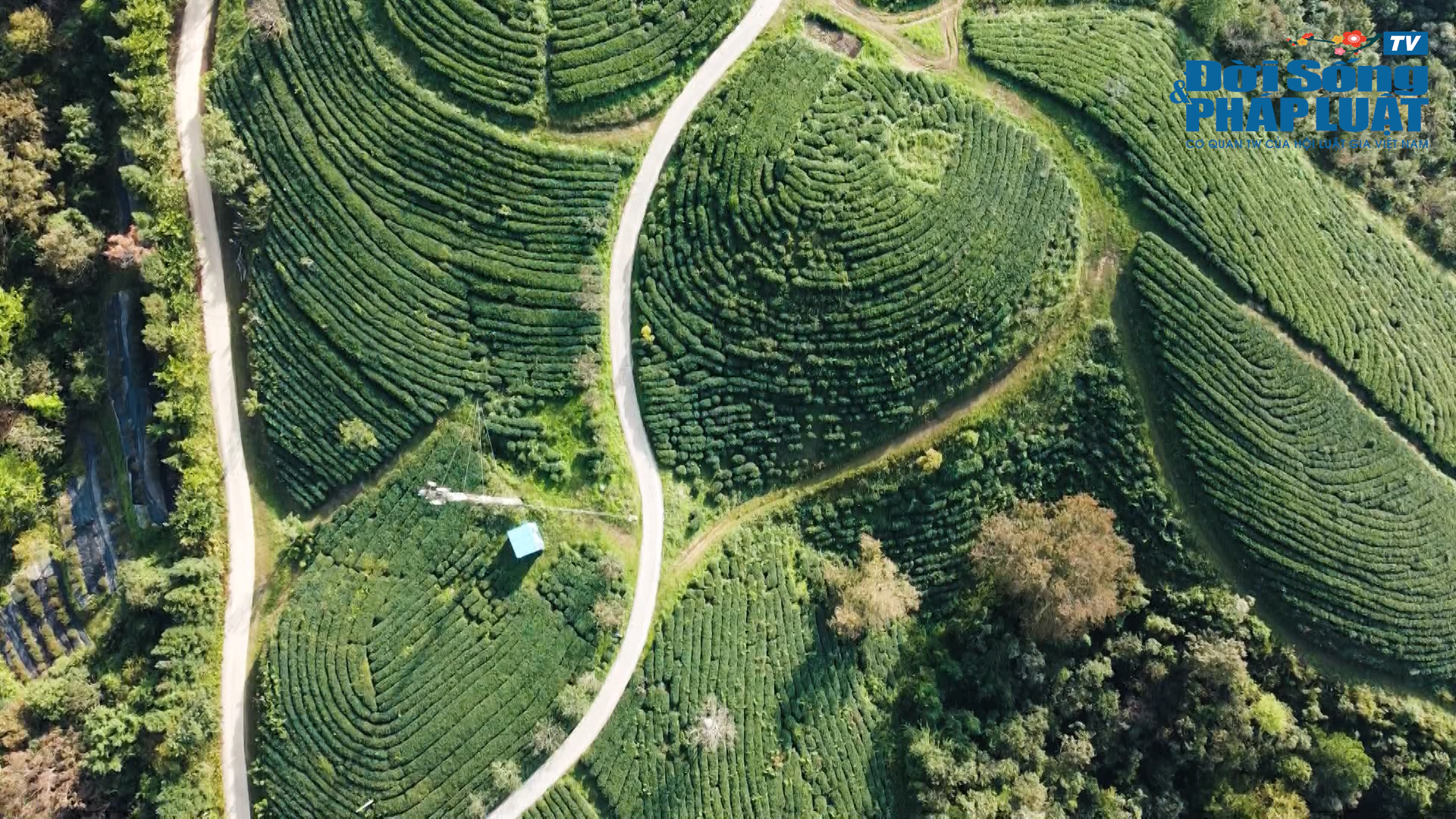 mong cai00093542still003