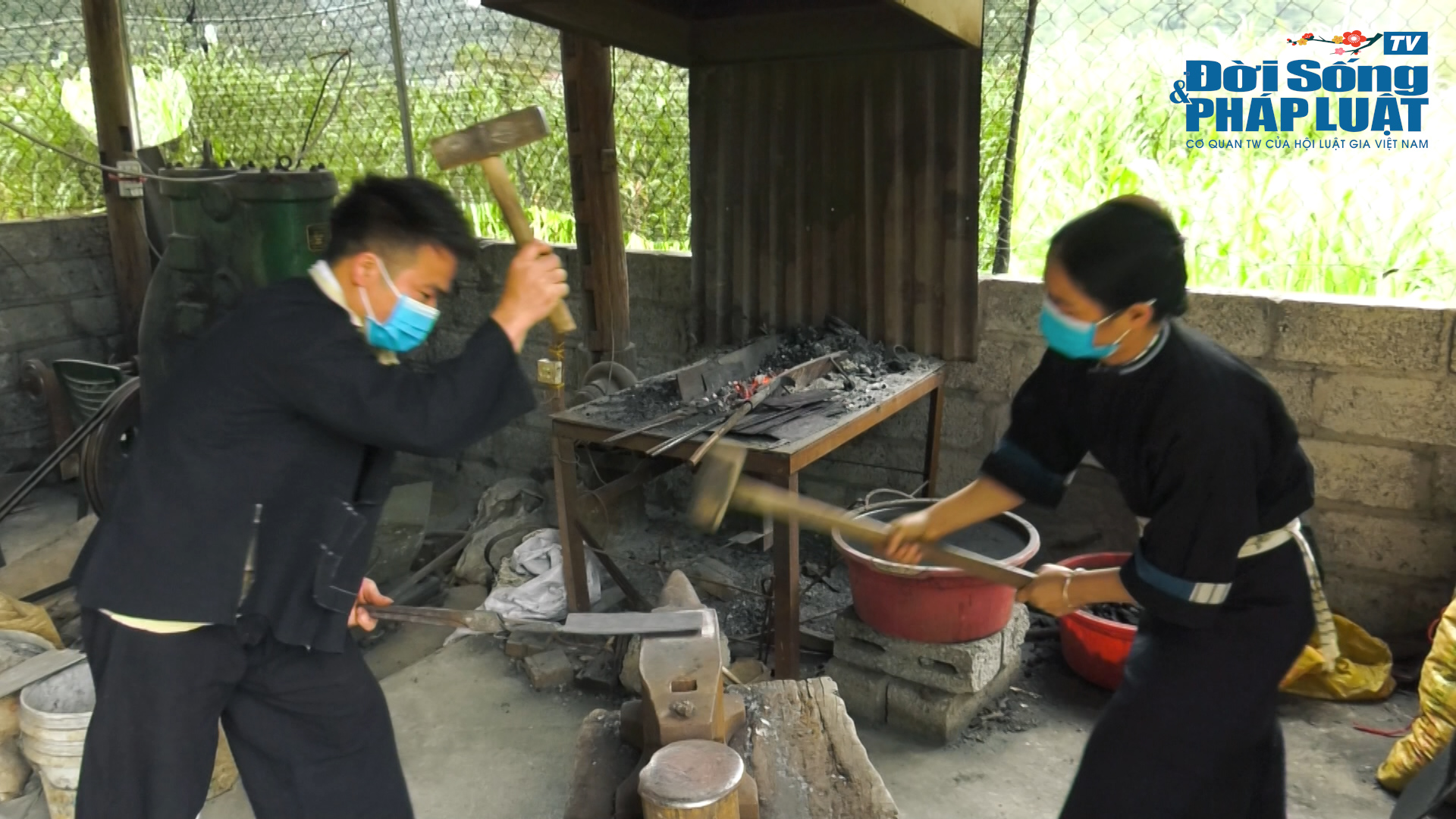 mong cai00100316still004