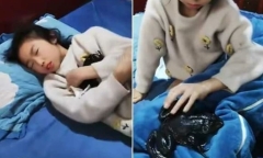 Nghe âm thanh lạ trong phòng con gái, mẹ kiểm tra được phen hốt hoảng