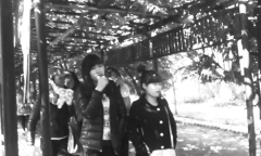 Kỳ 4. Môi giới lấy chồng Hàn: Đẹp trai, lương 70 triệu/tháng vẫn sang Việt Nam tìm vợ