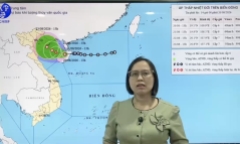 Clip: Chuyên gia nhận định diễn biến áp thấp nhiệt đới