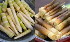 Măng chứa nhiều chất dinh dưỡng tốt cho sức khỏe, điều trị nhiều loại bệnh nhưng