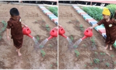 Thêm một trường tiểu học ở Hà Nội tạm dừng triển khai chương trình liên kết