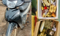 Vụ 2 bộ xương khô trong rừng ở Gia Lai: Những tình tiết ly kỳ chưa được tiết lộ