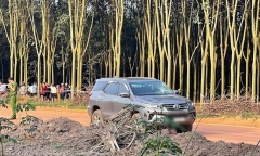 Vụ người đàn ông bất ngờ bị đánh chết giữa rẫy cao su: Truy tìm hung thủ bí ẩn