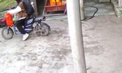 Vụ nữ sinh lớp 6 