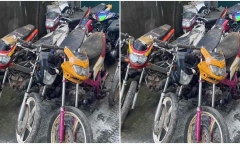 Người trúng đấu giá 32 xe máy cũ với giá 6,8 tỷ đồng đã bỏ cọc