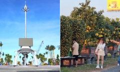 Cận cảnh điểm hoa Tết miễn phí mặt bằng cho người dân buôn bán ở Cần Thơ