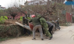 Người trồng đào Nhật Tân thấp thỏm 