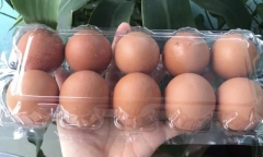 Lý giải việc trứng gà, vịt tăng giá tới 6.000 đồng/quả vẫn cháy hàng