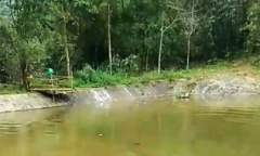 Người đàn ông lao xuống ao cứu 2 vợ chồng đuối nước song bất thành, cả 3 người tử vong thương tâm