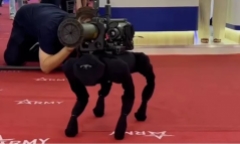 Nga trình làng chó robot mang súng phóng lựu