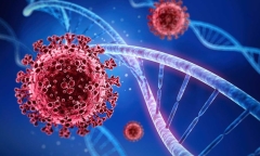 Hà Nội ghi nhận 156 ca mắc COVID-19, tăng nhẹ so với tuần trước