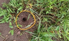 Tin tức thời sự mới nóng nhất hôm nay 29/5: Hàng trăm ngôi mộ bị đục lỗ ở Thái Bình