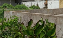 Bạc Liêu: Điều tra nghi án bé gái 9 tuổi bị xâm hại