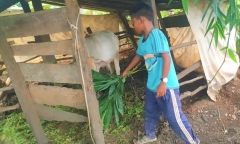 Nghi vấn học sinh bị 